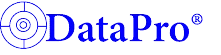 data-pro logo